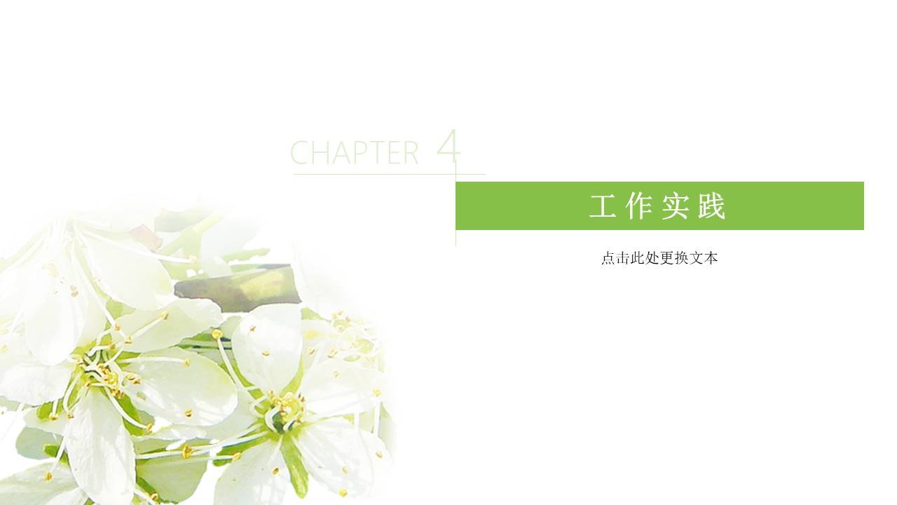 个人简历 (17).pptx